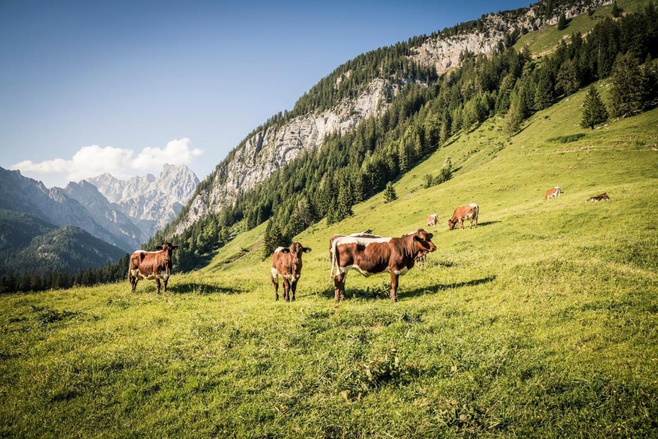 Ferienwohnung Im Gaestehaus Sieger-Brandner Ramsau bei Berchtesgaden Εξωτερικό φωτογραφία